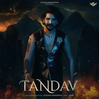 Tandav Gulzaar Chhaniwala Mp3 Song Free Download