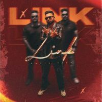 Link Lovie Virk Mp3 Song Free Download
