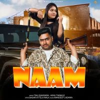 Naam Ashu Twinkle Mp3 Song Free Download