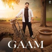 Gaam Bintu Pabra Mp3 Song Free Download