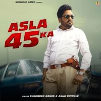 Asla 45 Ka Surender Romio, Ashu Twinkle Mp3 Song Free Download