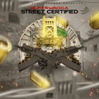 Shikari Slim Swagga Mp3 Song Free Download