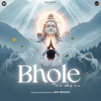 Bhole Tere Ishq Me Ajay Bhagta Mp3 Song Free Download