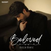 Beloved Waseem Mumtaz, Bilal Saeed Mp3 Song Free Download