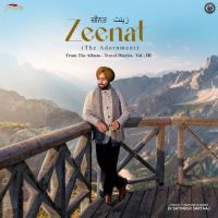 Zeenat (The Adornment) Satinder Sartaaj Mp3 Song Free Download