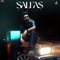 Salfas Baaghi Mp3 Song Free Download