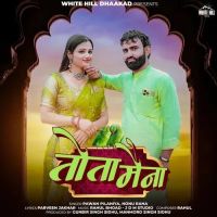 Tota Maina Pawan Pilaniya, Nonu Rana Mp3 Song Free Download